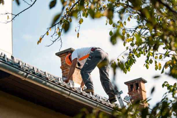 Best Storm Damage Roof Repair  in Detroit Lakes, MN