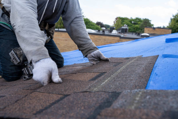 Trusted Detroit Lakes, MN Roofing Contractor Experts