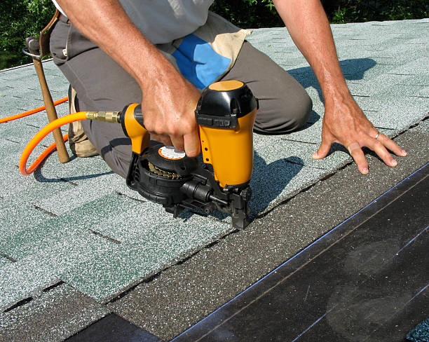 Best Roof Gutter Cleaning  in Detroit Lakes, MN