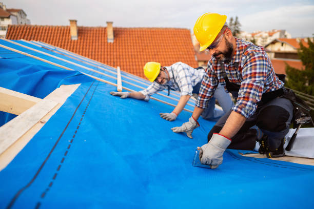 Best Residential Roofing Contractor  in Detroit Lakes, MN