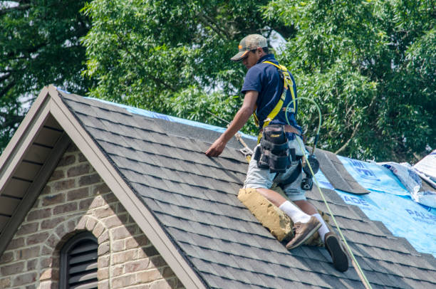 Best Emergency Roof Repair  in Detroit Lakes, MN